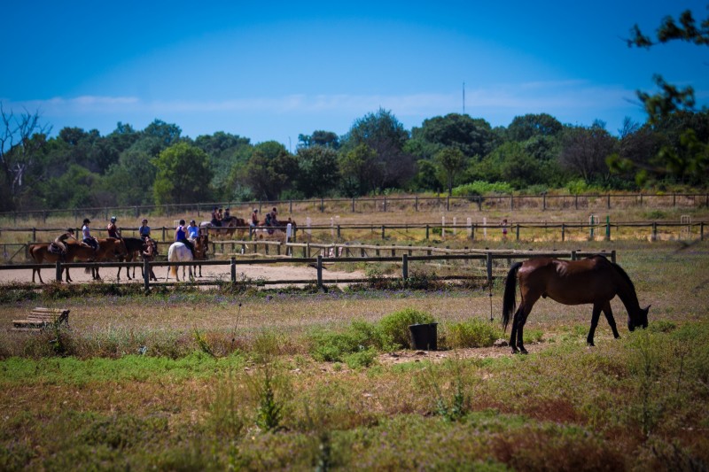 Riding school