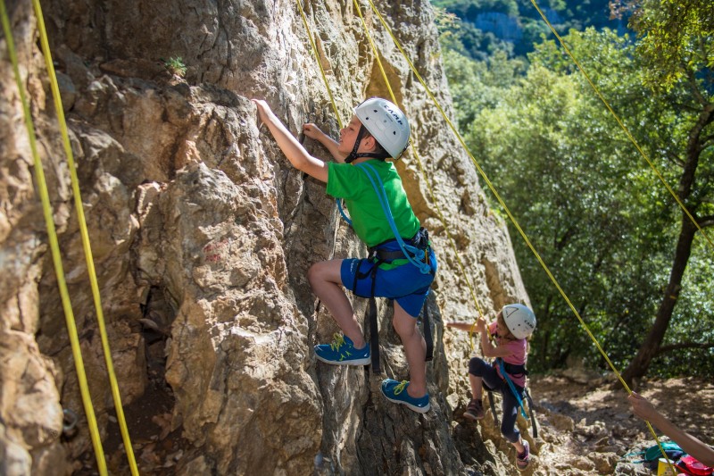 Climbing, Tree climbing