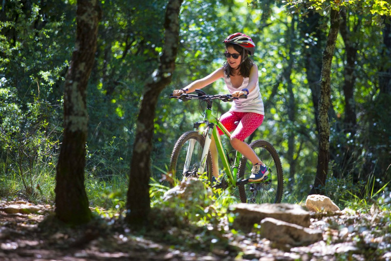 Bikes and ebikes rental
