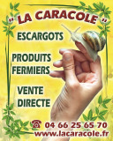 La Caracole producteur d'escargots en Cevenness