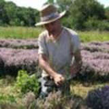 Distillerie du Bois de Païolive : Essential oils and more..._Banne