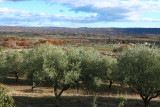 GAEC Jeune frères