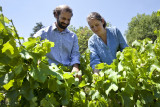 chateau_des_lebres_1.jpg