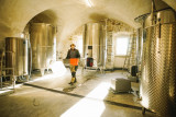 chateau_des_lebres_3.jpg