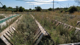 Parcs extérieurs