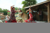 Cabarets Equestres