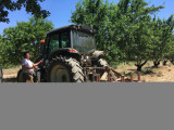 travail du sol
