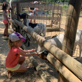 parc_animalier_vagnasenfant_maggie_3.jpg parc_animalier_vagnasenfant_maggie_3.jpg