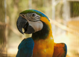 6e14a776a2fffa5e5fe0.jpg 6e14a776a2fffa5e5fe0.jpg