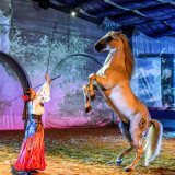 Cabaret voor ruiters - © Célia GUILLAMON - Cabarets Equestres Cabaret voor ruiters