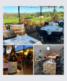 Domaine de Berguerolles Domaine de Berguerolles