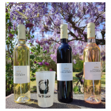 4df427c7dcdc32271553.png 4df427c7dcdc32271553.png