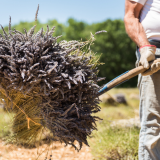 Distillerie Bel Air_Saint-Just-et-Vacquières
