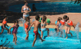 Parc aquatique familial, pour petits et grands
