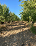 champs - © libre de droit champs