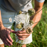 Bel Air Distillery_Saint-Just-et-Vacquières - © Distillerie Bel Air Bel Air Distillery_Saint-Just-et-Vacquières