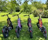 Trott'In Gardèche, les trottinettes électriques