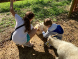 Enfants avec des chèvres à Green Park
