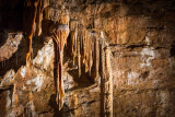 Grotte de Trabuc Grotte de Trabuc