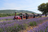 Tour en train
