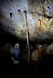 Grotte Forestière racine géante bi-centenaire - © Legrand Nicolas Grotte Forestière racine géante bi-centenaire