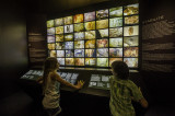 Dans la Galerie de l'Aurignacien