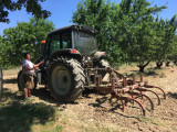 travail du sol