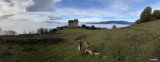 Château d'Aujac - © Association Château d'Aujac Château d'Aujac