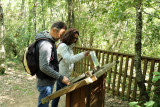 Baume des Fades interpretation trail_Méjannes-le-Clap