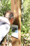 Baume des Fades interpretation trail_Méjannes-le-Clap