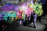 La Grotte de la Salamandre_Méjannes-le-Clap