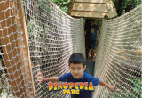 Dinopédia Parc enfants qui jouent