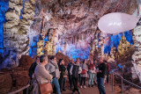 Guided Tour