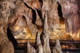 Vue d'ensemble Panneau des Chevaux - Grotte Chauvet 2 Ardèche