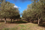GAEC Jeune frères