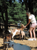 dscn8663.jpg dscn8663.jpg