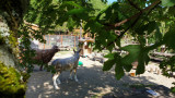 aire de jeux - © parc animalier aire de jeux