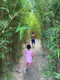 Enfants dans le labyrinthe
