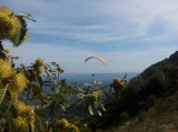 Barbule parapente