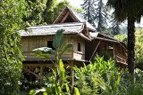 The Bamboo Grove in the Cévennes_Générargues