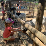 parc_animalier_vagnasenfant_maggie_3.jpg parc_animalier_vagnasenfant_maggie_3.jpg