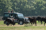 Camargue autrement