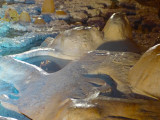Grotte Forestière gours