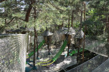 Bois des musiciens Ardèche