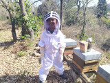 Secret d'abeilles