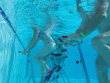 Piscine Méjannes le clap
