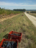 Domaine des Bragalous