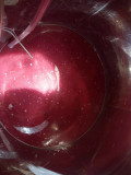 Domaine des Bragalous
