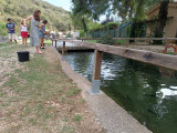 Pisciculture des Fumades