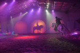 Cabarets Equestres de Camargue